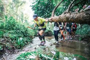 BIB: 
                            <button type="button" onclick="openModal(25473919)" class="btn btn-primary btn-sm float-right btn-popup" data-toggle="modal" data-target=".modal-high-quality">
                        <i class="fas fa-shopping-cart"></i> Add to Cart
                    </button>
                                            <button type="button" onclick="isThisMe(25473919, true)" class="btn btn-success btn-sm float-right btn-popup btn-isme hidden" data-toggle="tooltip" data-placement="bottom" title="นี่คือรูปของคุณใช่ไหม คลิกที่นี่เพื่อเอาเข้าอัลบั้ม">
                        <i class="fas fa-plus"></i> Add to album
                    </button>
                    <button type="button" onclick="isThisMe(25473919, false)" class="btn btn-warning btn-sm float-right btn-popup btn-isnotme hidden">
                        <i class="fas fa-ban"></i> Remove from album
                    </button>